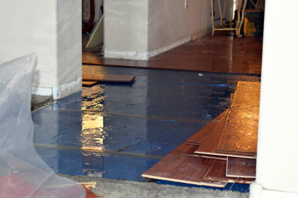Professional Water Damage Restoration technician working in Hurley, SD